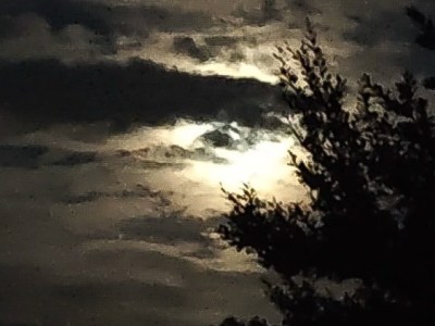 Whispers of The&nbsp;Veil